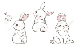 兔子 动漫,探寻兔子动漫的魅力世界