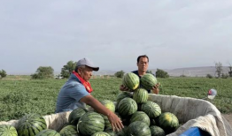 青岛市南区吃瓜爆料群,群内爆料，邻里故事一网打尽