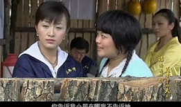 电视剧2,命运交织的传奇人生