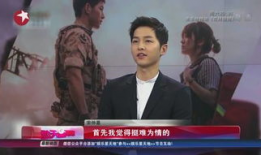 电视剧新闻,精彩剧情抢先看，热门剧集盘点来袭