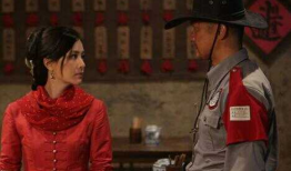 沙漠苍狼电视剧,烽火岁月里的忠诚与信仰